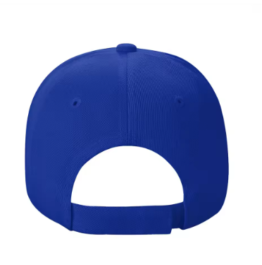 Williams Racing Team Cap 2025